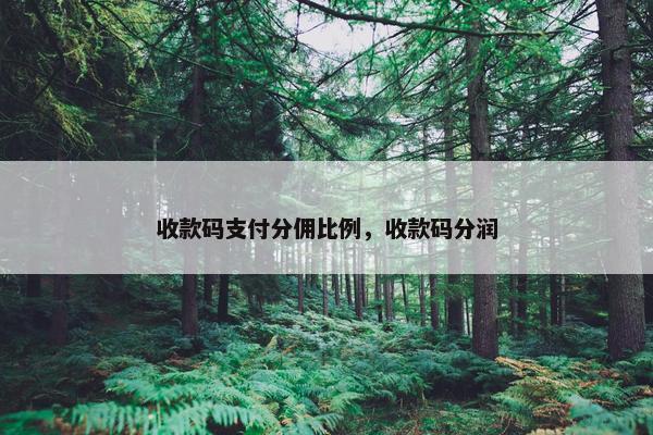 收款码支付分佣比例，收款码分润