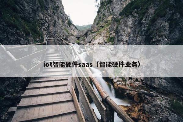 iot智能硬件saas（智能硬件业务）