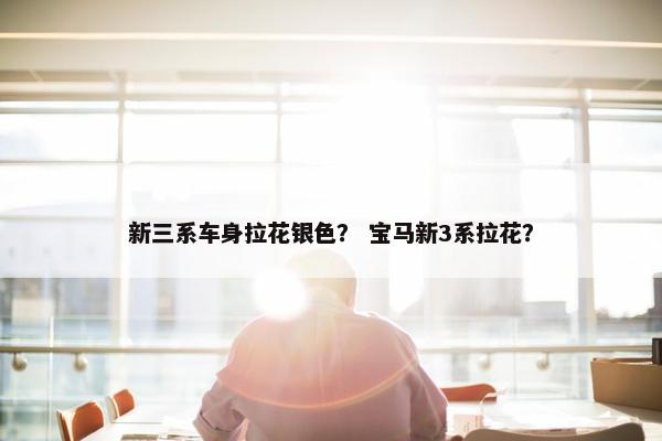新三系车身拉花银色？ 宝马新3系拉花？