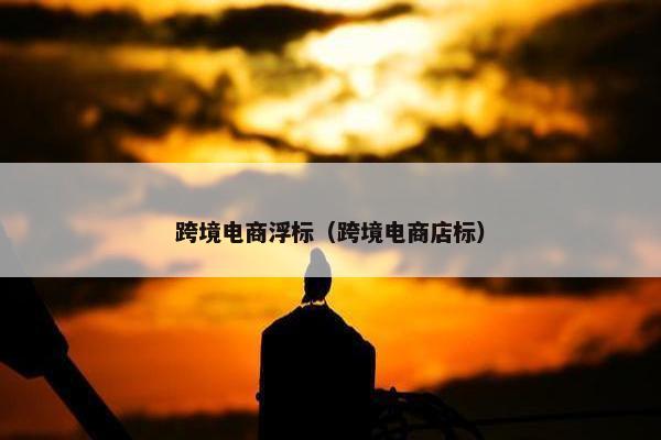 跨境电商浮标（跨境电商店标）
