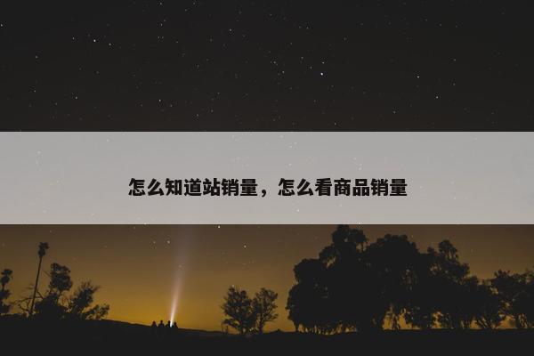 怎么知道站销量，怎么看商品销量