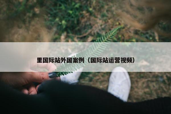 里国际站外国案例（国际站运营视频）