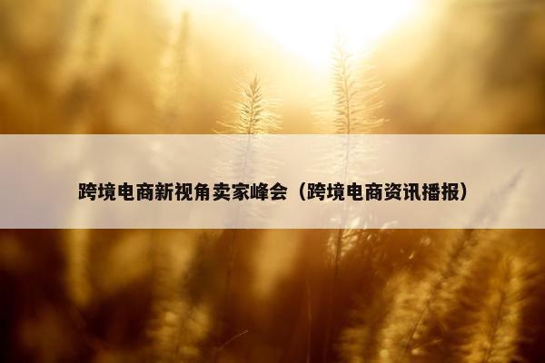 跨境电商新视角卖家峰会（跨境电商资讯播报）
