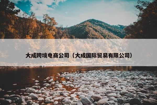 大成跨境电商公司（大成国际贸易有限公司）