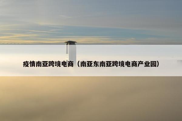 疫情南亚跨境电商（南亚东南亚跨境电商产业园）
