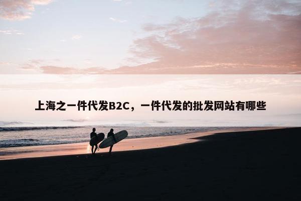 上海之一件代发B2C，一件代发的批发网站有哪些