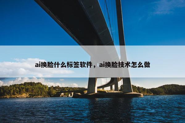 ai换脸什么标签软件，ai换脸技术怎么做