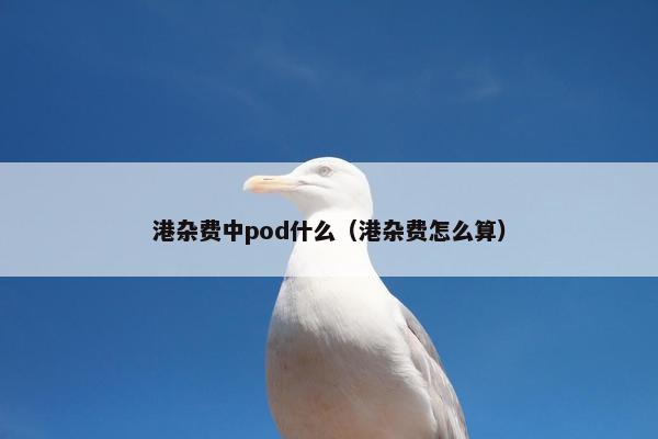 港杂费中pod什么（港杂费怎么算）