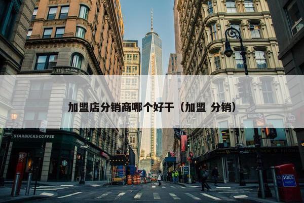 加盟店分销商哪个好干（加盟 分销）
