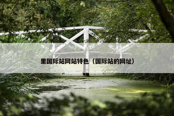 里国际站网站特色（国际站的网址）