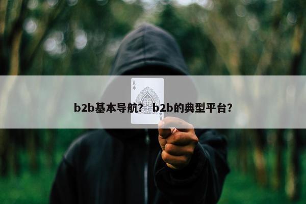 b2b基本导航？ b2b的典型平台？