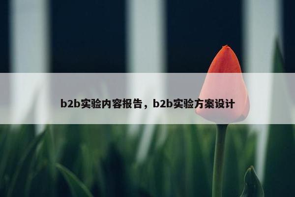 b2b实验内容报告，b2b实验方案设计