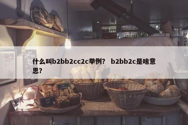 什么叫b2bb2cc2c举例？ b2bb2c是啥意思？