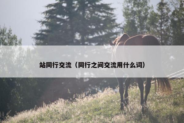 站同行交流（同行之间交流用什么词）