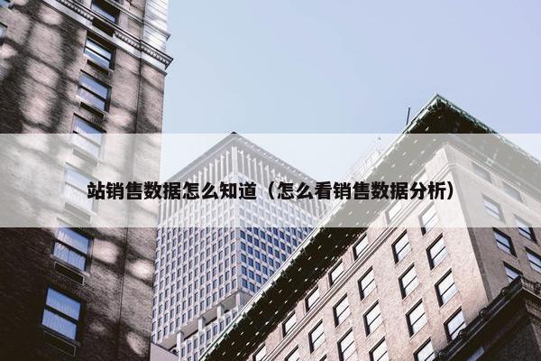 站销售数据怎么知道（怎么看销售数据分析）