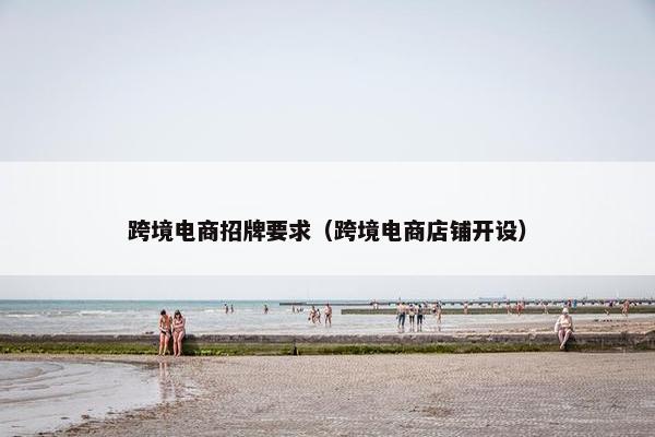 跨境电商招牌要求（跨境电商店铺开设）