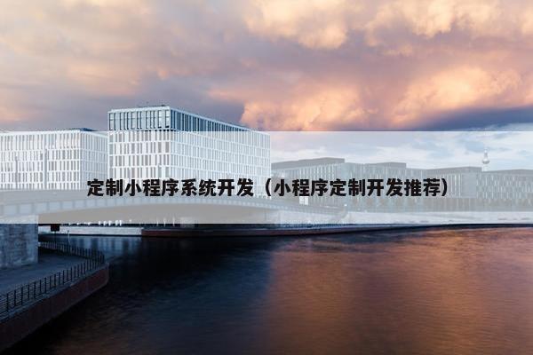 定制小程序系统开发（小程序定制开发推荐）