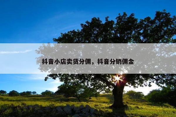 抖音小店卖货分佣，抖音分销佣金
