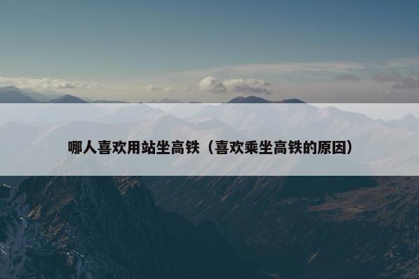 哪人喜欢用站坐高铁（喜欢乘坐高铁的原因）