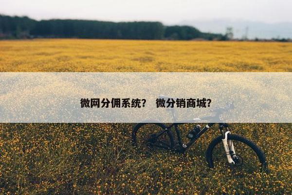 微网分佣系统？ 微分销商城？