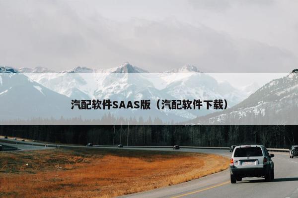 汽配软件SAAS版（汽配软件下载）