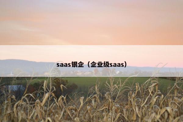 saas银企（企业级saas）