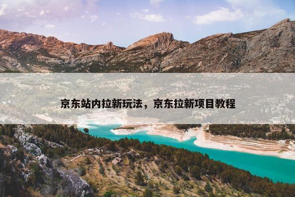 京东站内拉新玩法，京东拉新项目教程