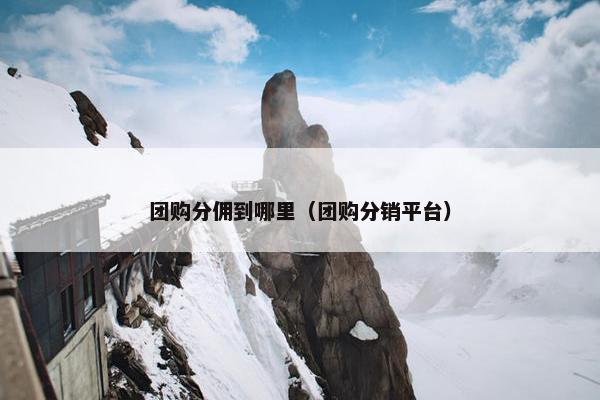 团购分佣到哪里（团购分销平台）