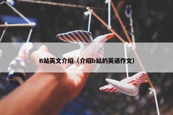 B站英文介绍（介绍b站的英语作文）
