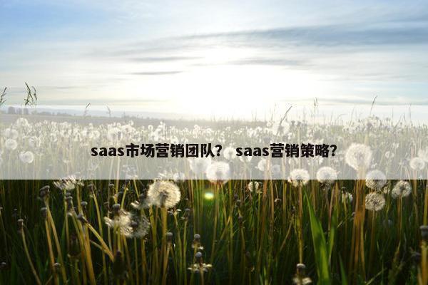 saas市场营销团队？ saas营销策略？