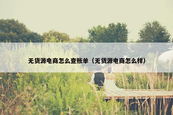 无货源电商怎么查账单（无货源电商怎么样）