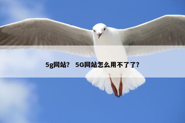 5g网站？ 5G网站怎么用不了了？