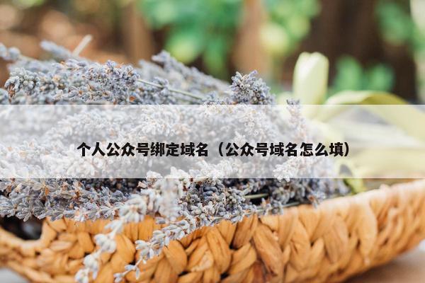 个人公众号绑定域名（公众号域名怎么填）