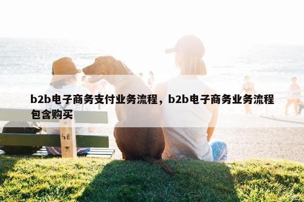 b2b电子商务支付业务流程，b2b电子商务业务流程包含购买