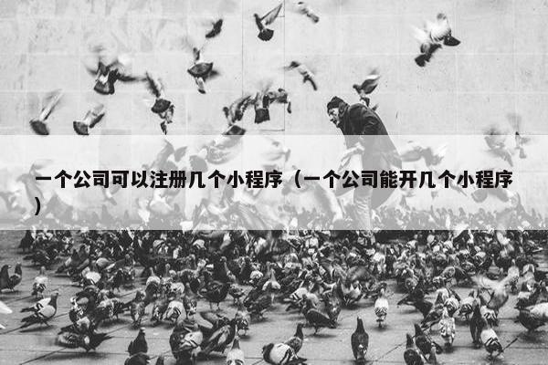 一个公司可以注册几个小程序（一个公司能开几个小程序）
