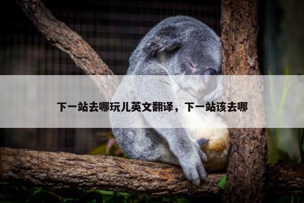 下一站去哪玩儿英文翻译，下一站该去哪
