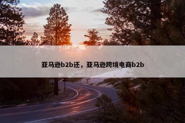 亚马逊b2b还，亚马逊跨境电商b2b