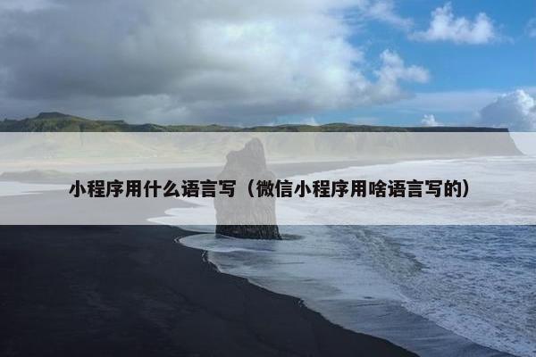小程序用什么语言写（微信小程序用啥语言写的）