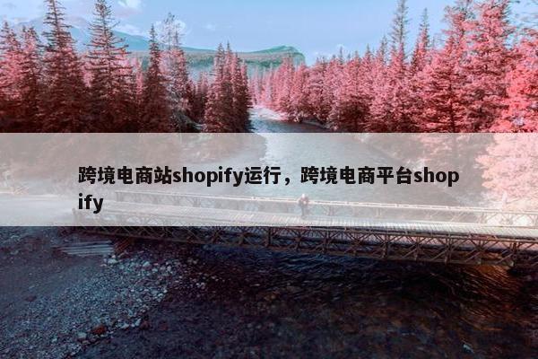 跨境电商站shopify运行，跨境电商平台shopify