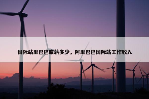 国际站里巴巴底薪多少，阿里巴巴国际站工作收入