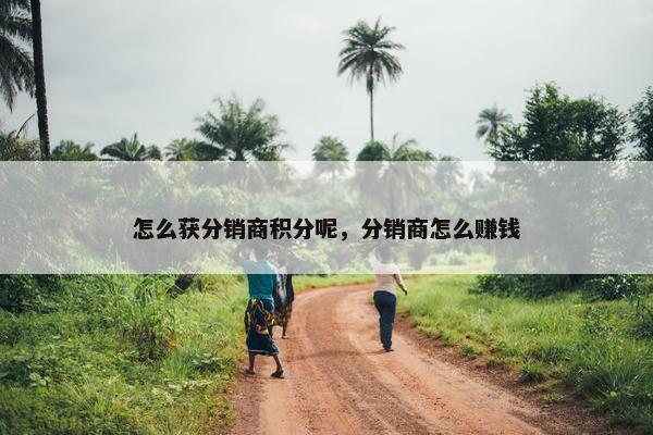 怎么获分销商积分呢，分销商怎么赚钱