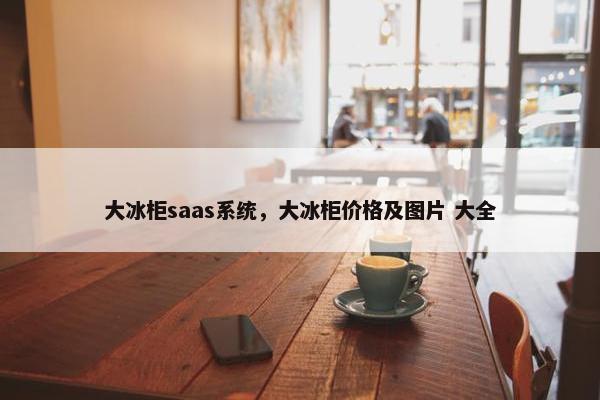 大冰柜saas系统，大冰柜价格及图片 大全