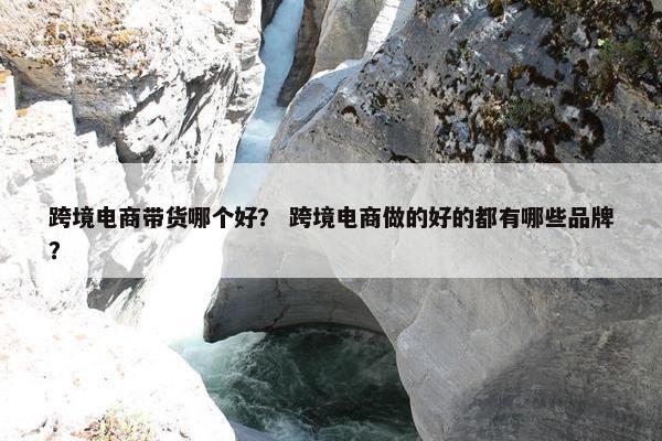跨境电商带货哪个好？ 跨境电商做的好的都有哪些品牌？