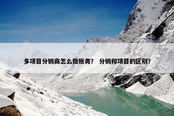 多项目分销商怎么做账务？ 分销和项目的区别？