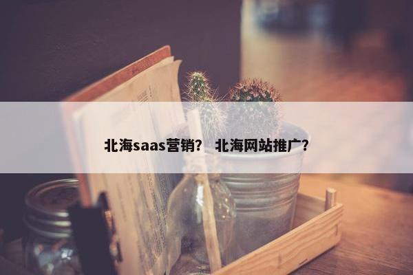 北海saas营销？ 北海网站推广？