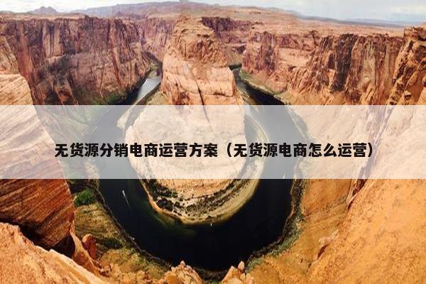 无货源分销电商运营方案（无货源电商怎么运营）