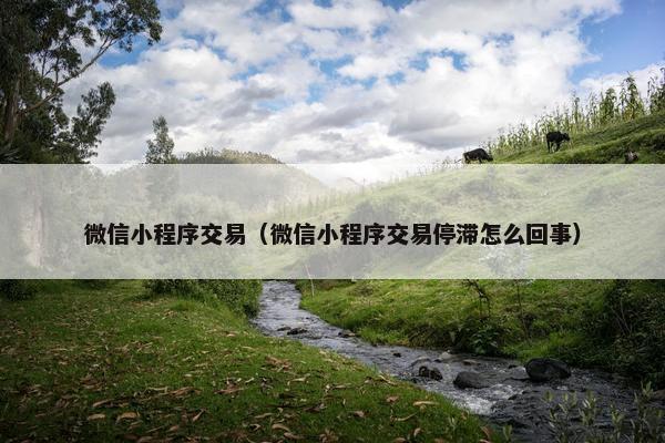 微信小程序交易（微信小程序交易停滞怎么回事）
