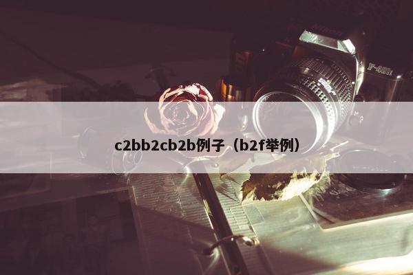 c2bb2cb2b例子（b2f举例）