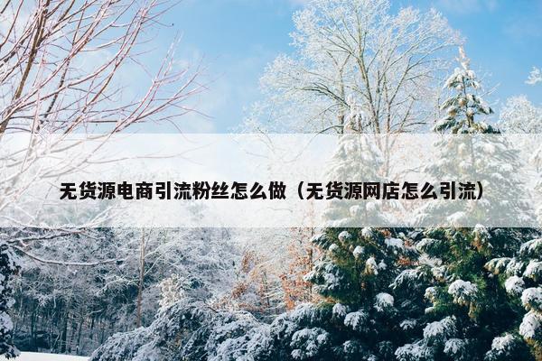 无货源电商引流粉丝怎么做（无货源网店怎么引流）