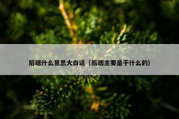 后端什么意思大白话（后端主要是干什么的）